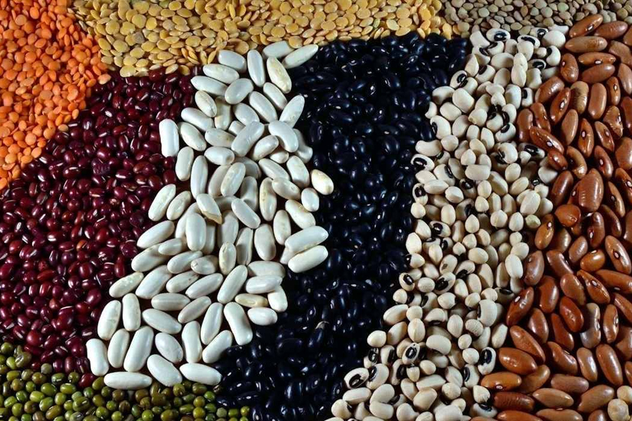 Pulses